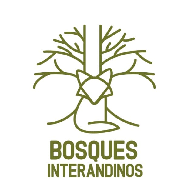 Bosques Interandinos — recolectoras del bosque andino