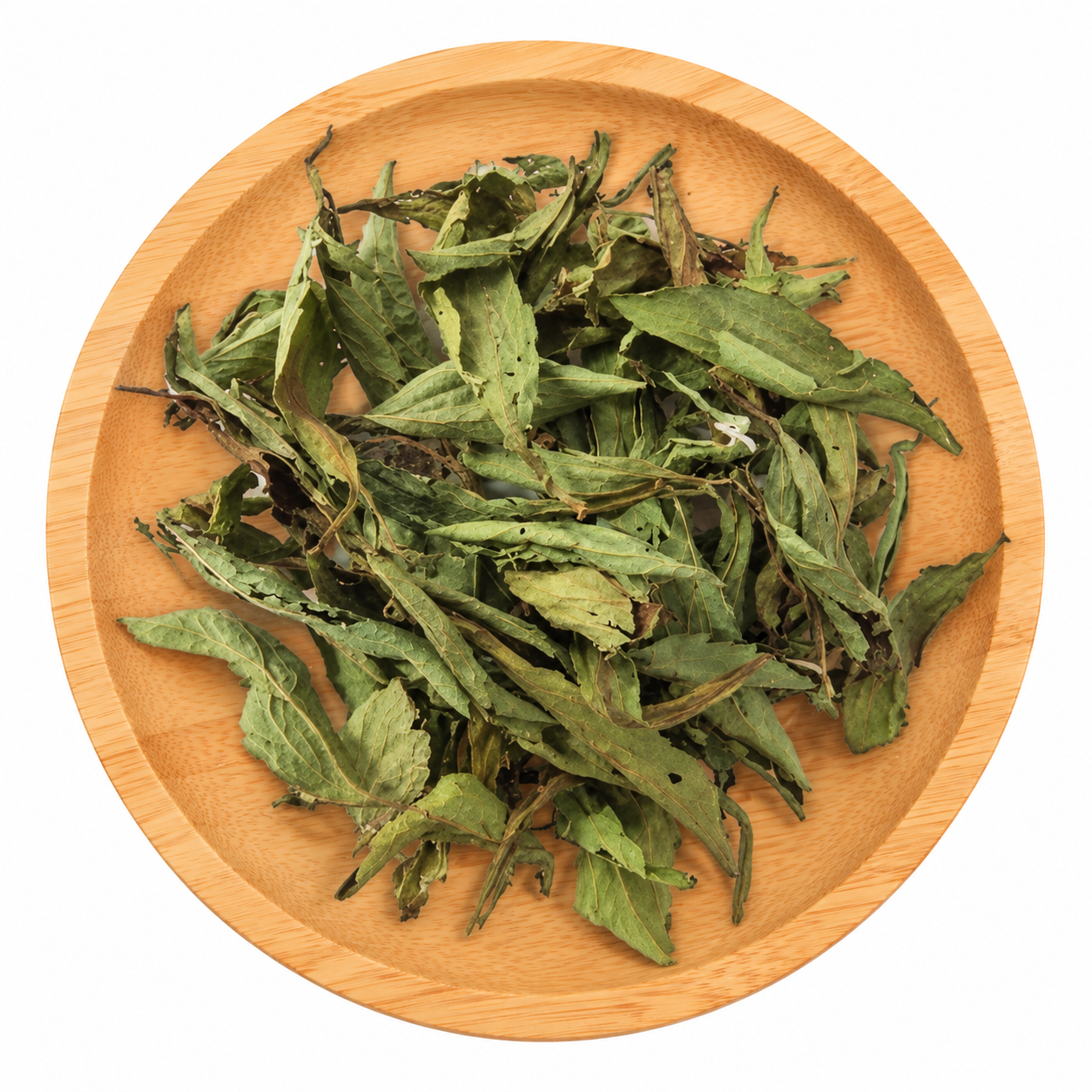 Stevia